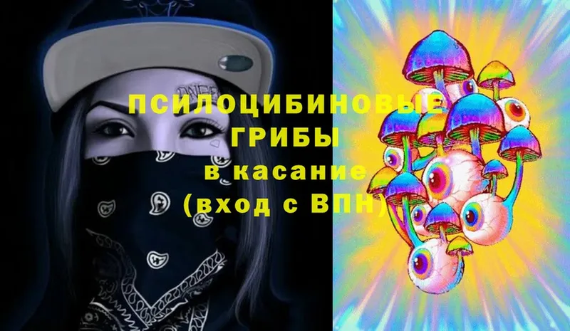 Псилоцибиновые грибы MAGIC MUSHROOMS  нарко площадка как зайти  Вельск 